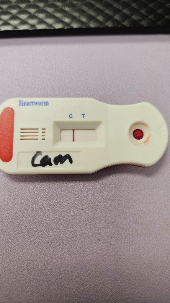 Cam
