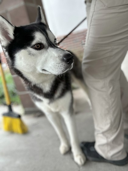 Sitka