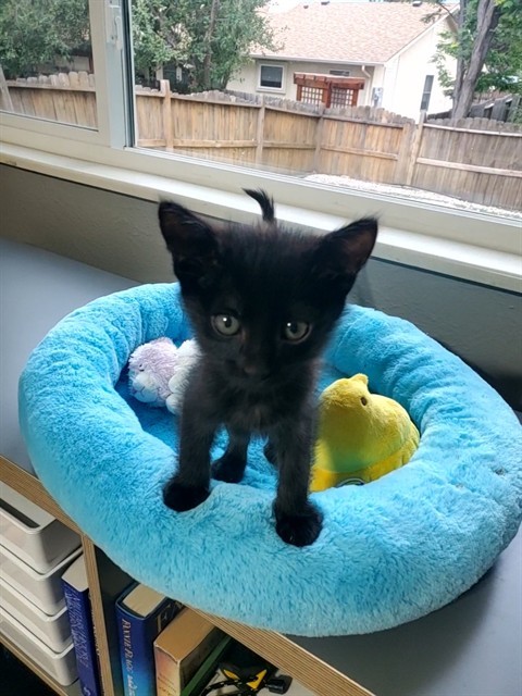 NIMBUS