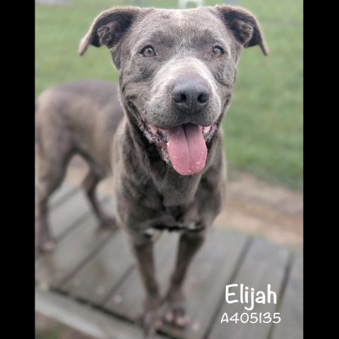 ELIJAH