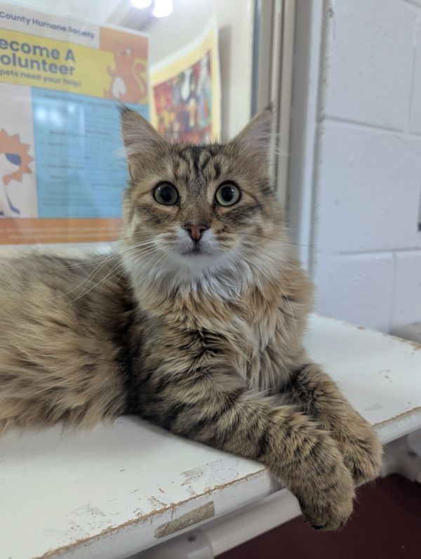 Luna