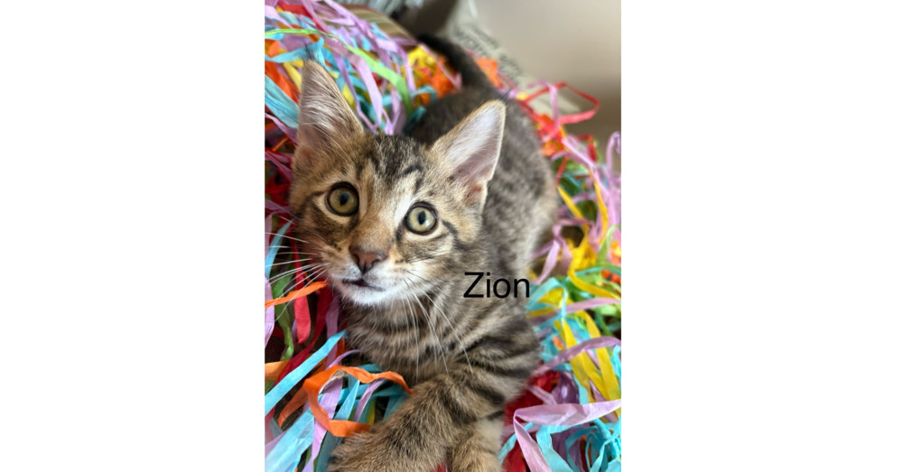 Zion
