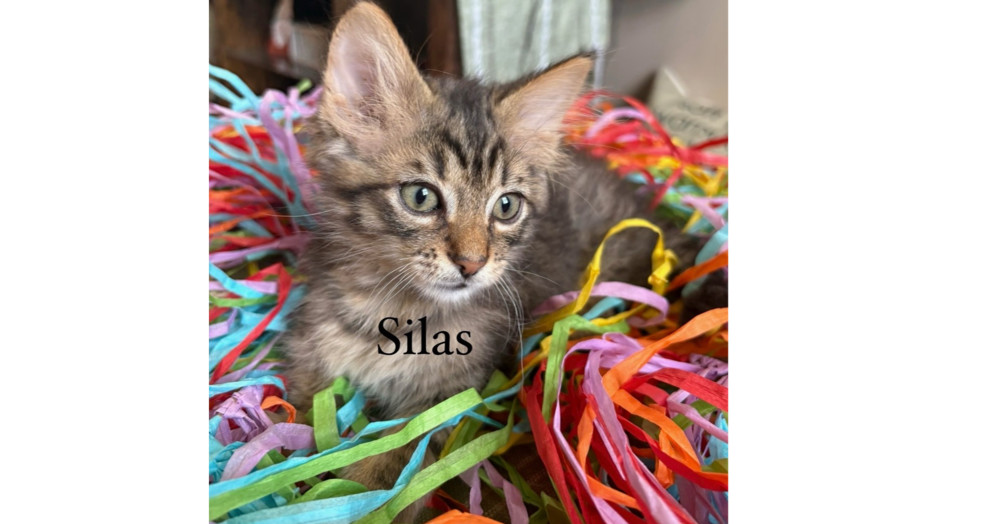 Silas