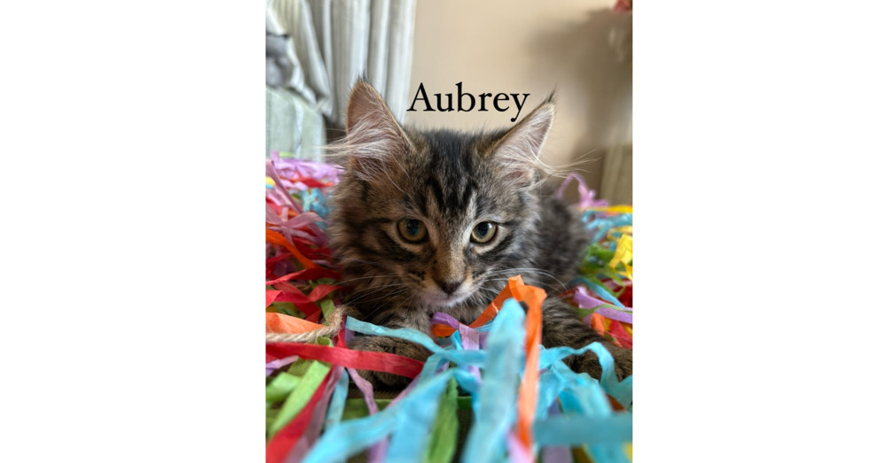 Aubrey