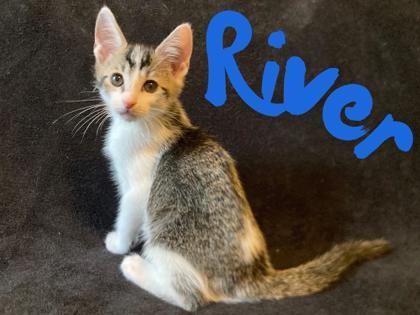River