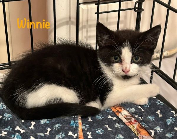 Winnie