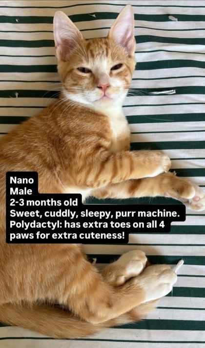 Nano