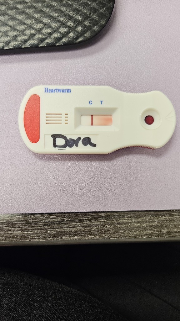Dora