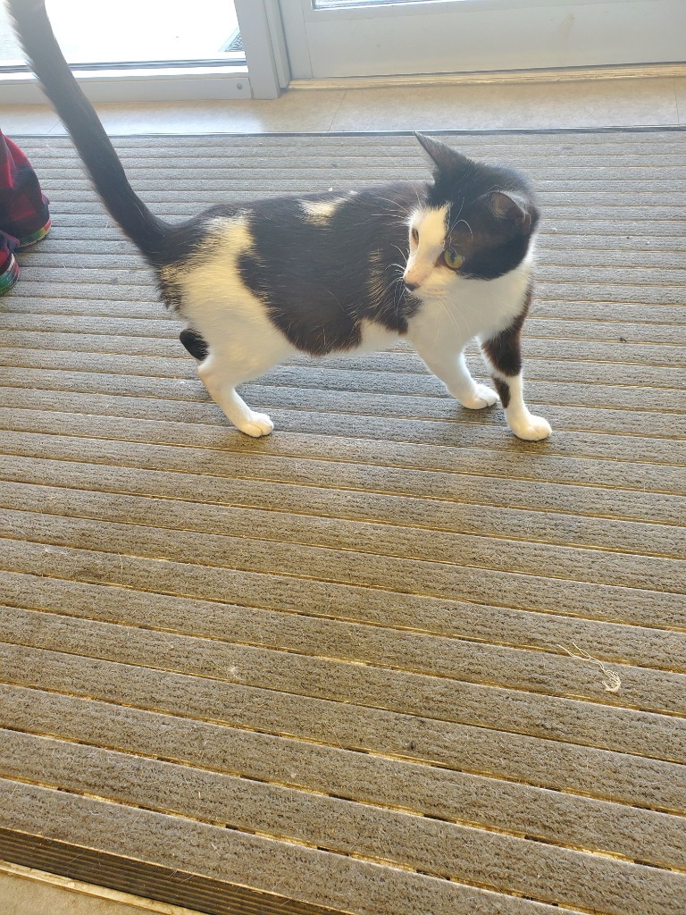 Darla