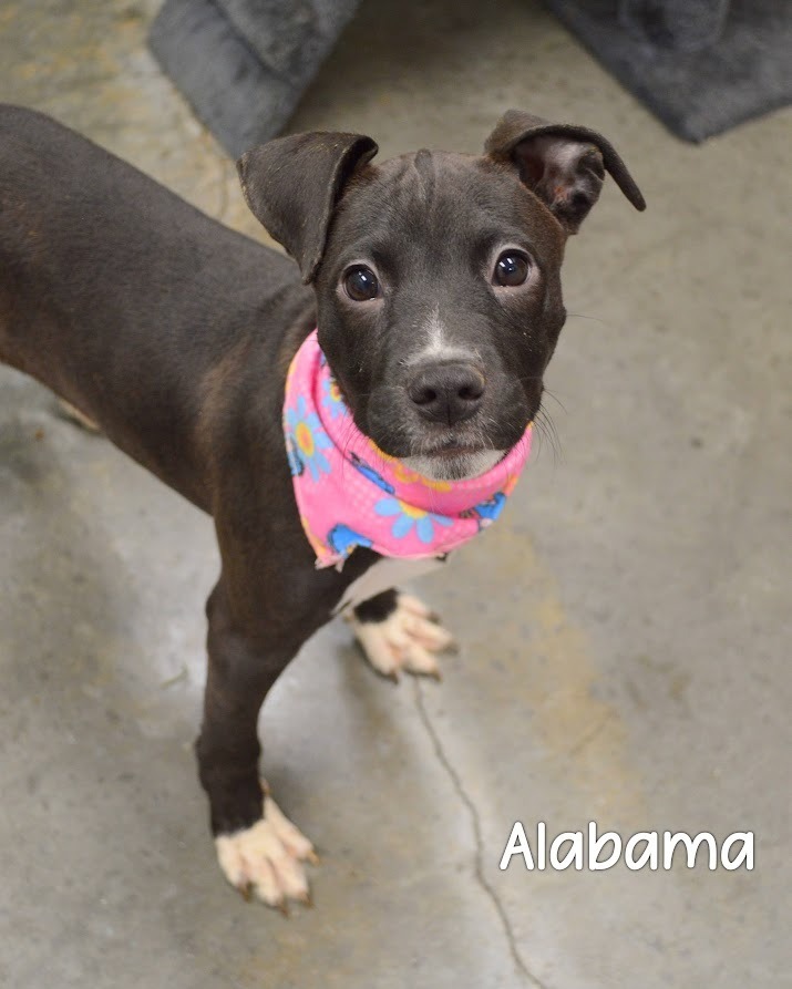 Alabama