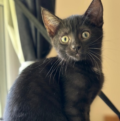 Nori