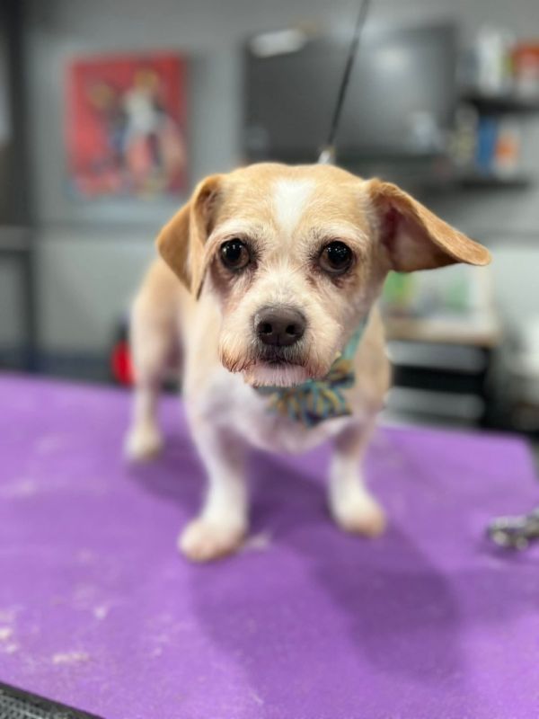 Winnie
