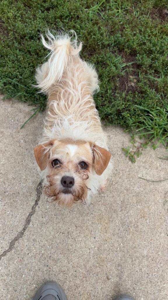 Winnie