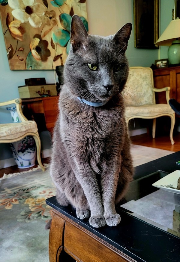 Giorgio
