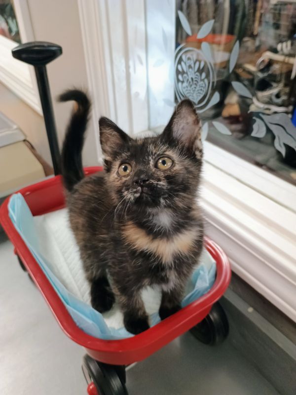 Winnie