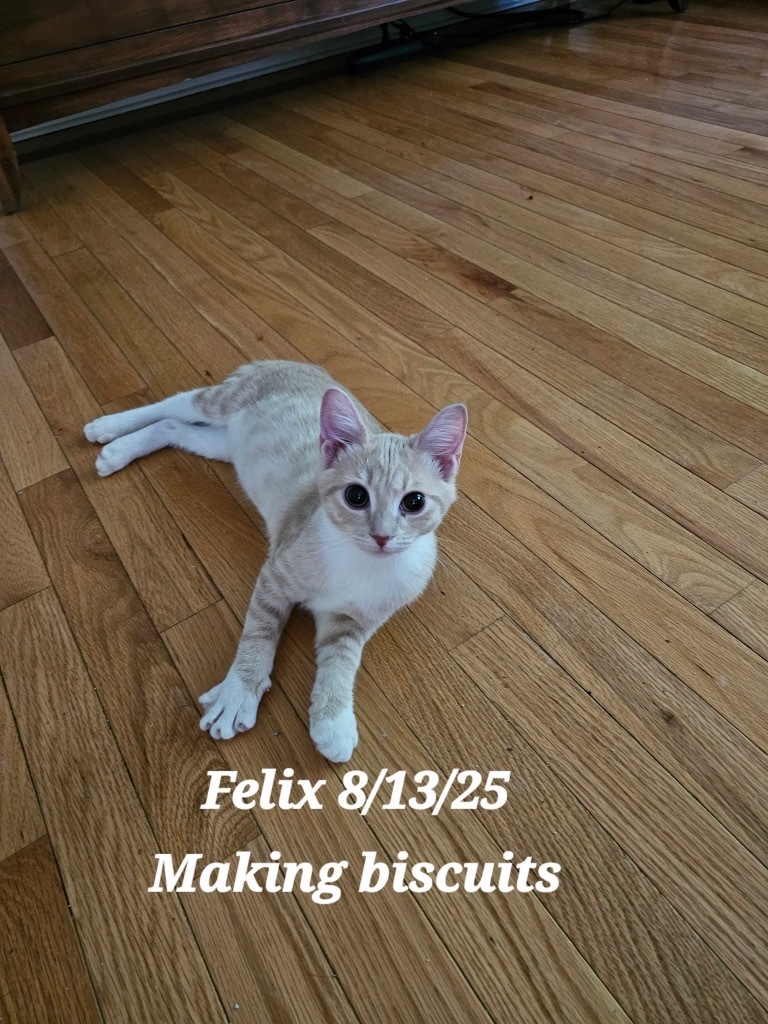 Felix