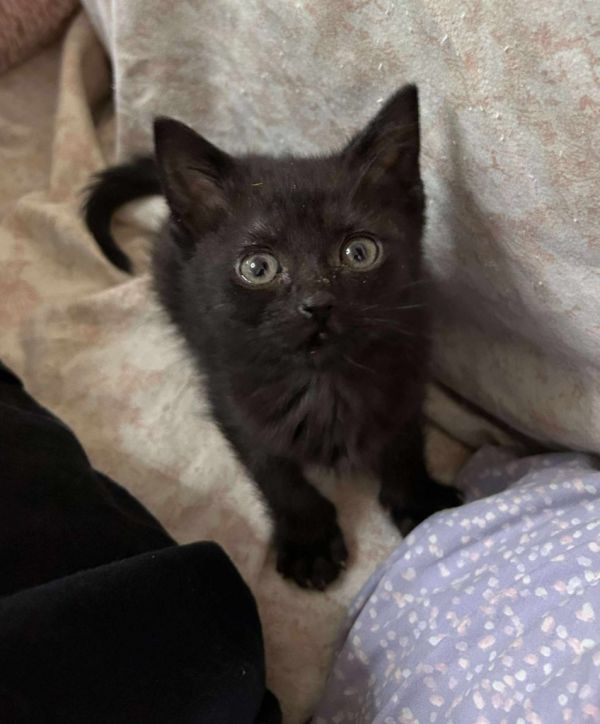 Luna