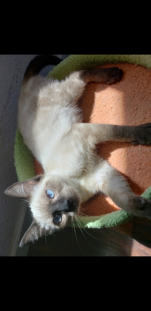 Galileo