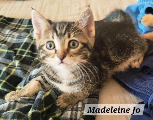 Madeline (Maddie) Jo