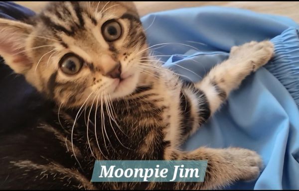Moonpie Jim