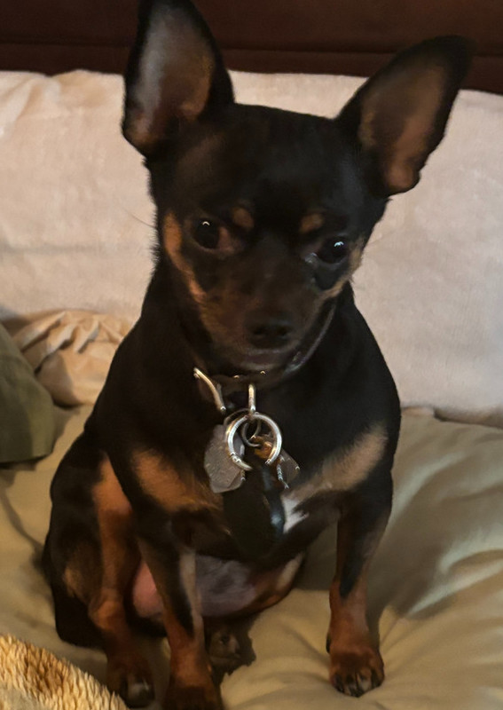 Tika