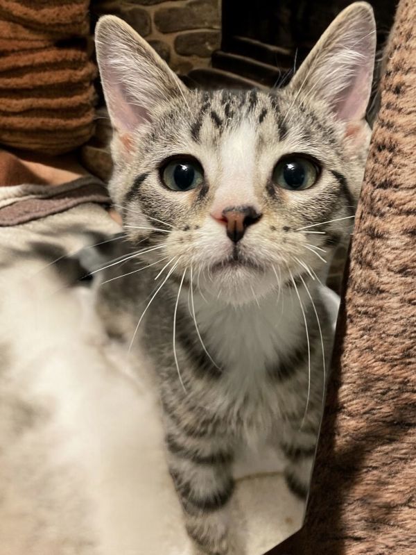 Sebastian