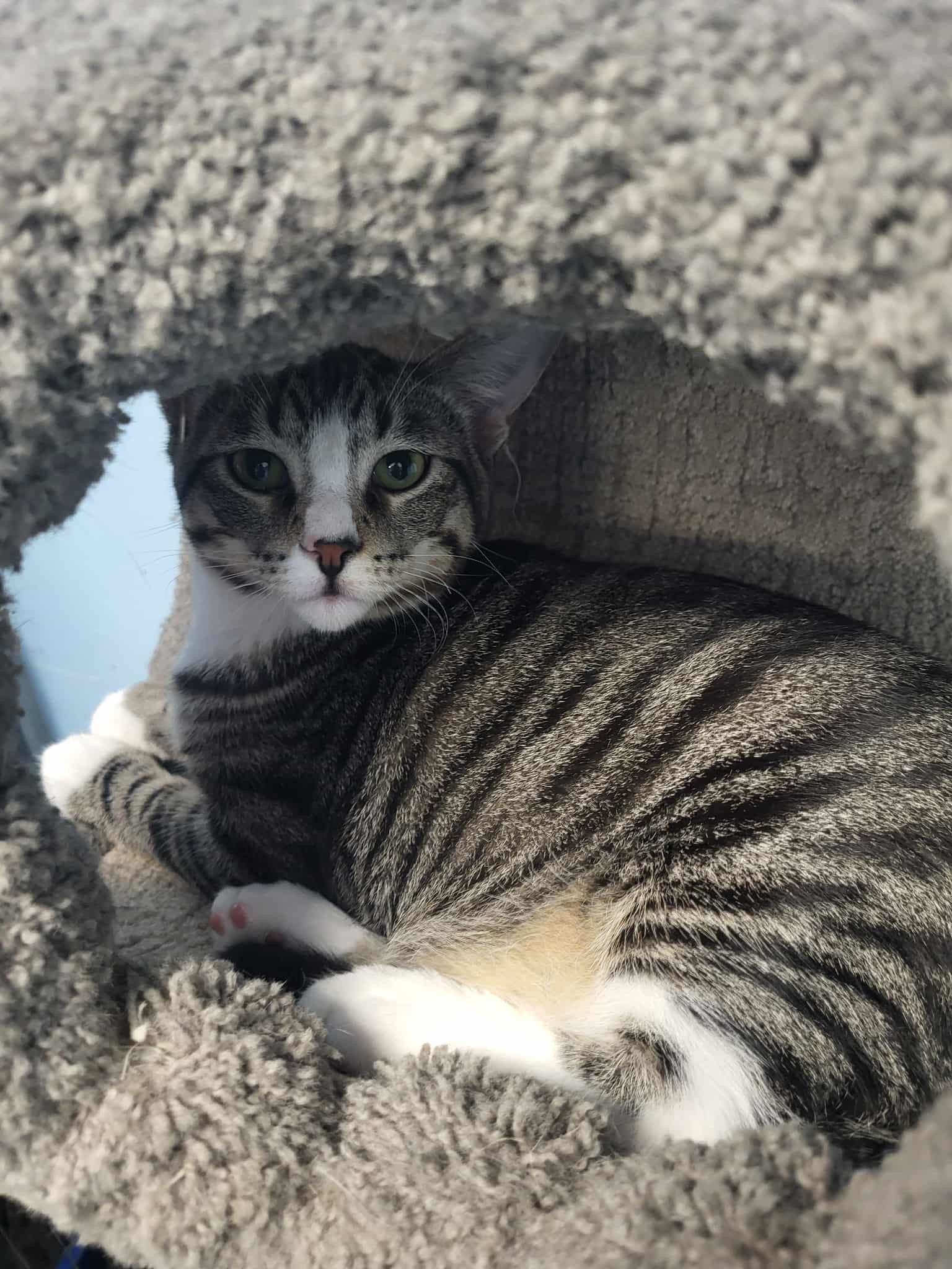 Sebastian
