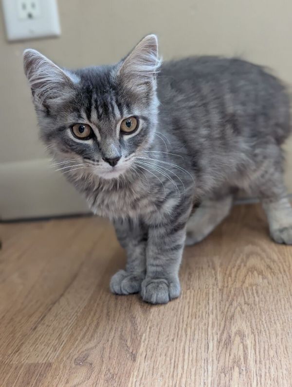 Ezra