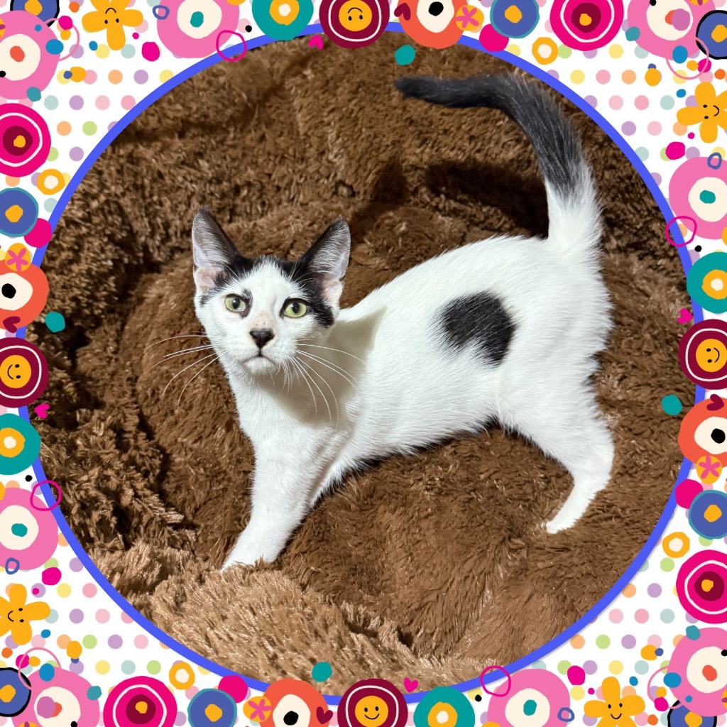 Artemis
