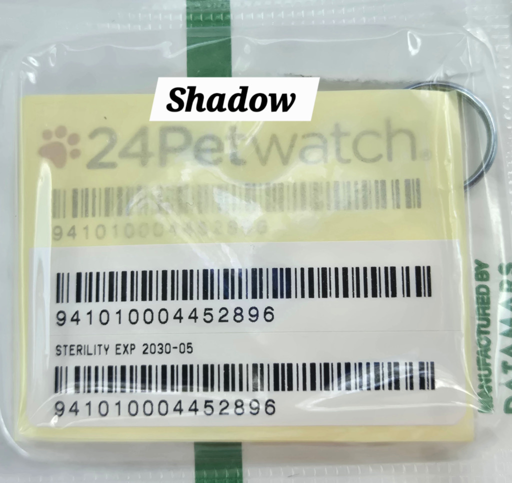 Shadow