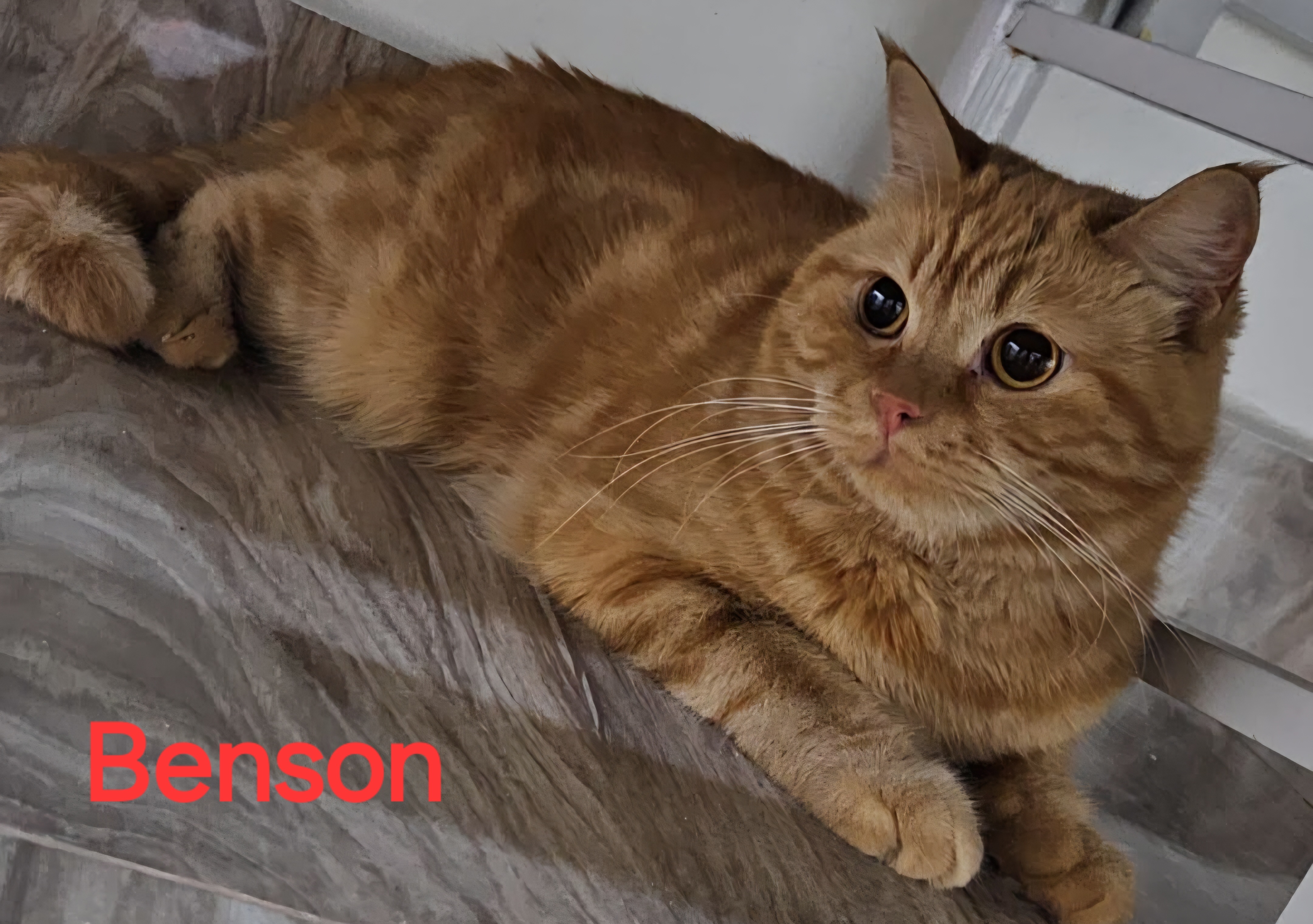 Benson