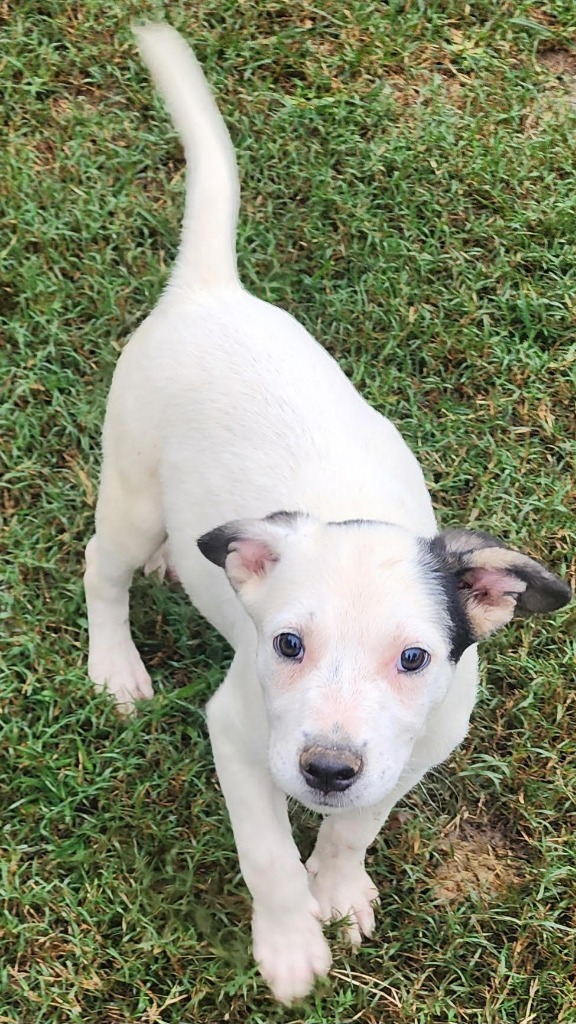 Winnie
