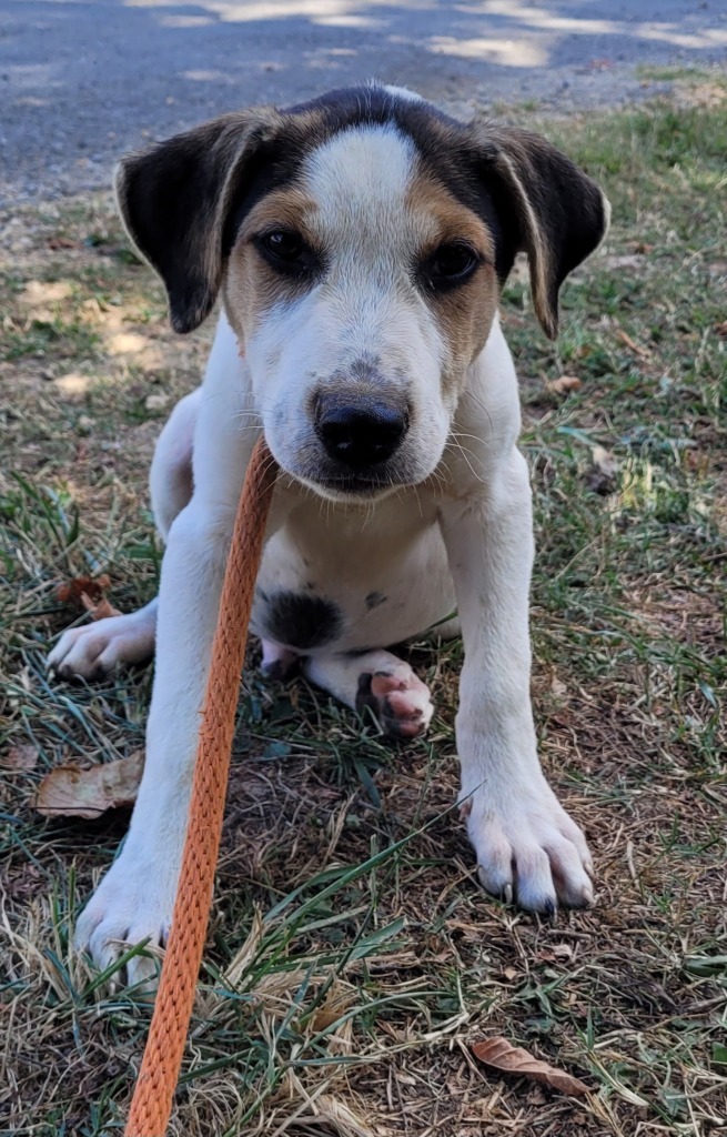 Wally