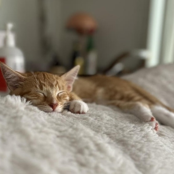 Nacho