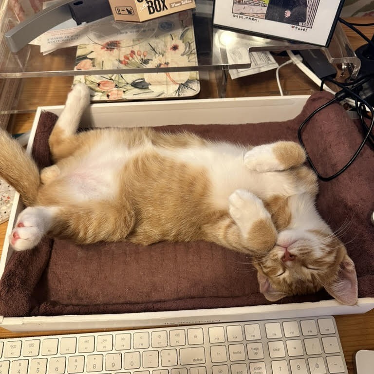 Nacho