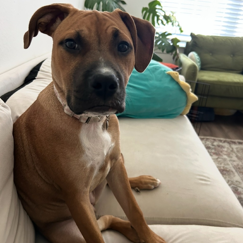 Penny