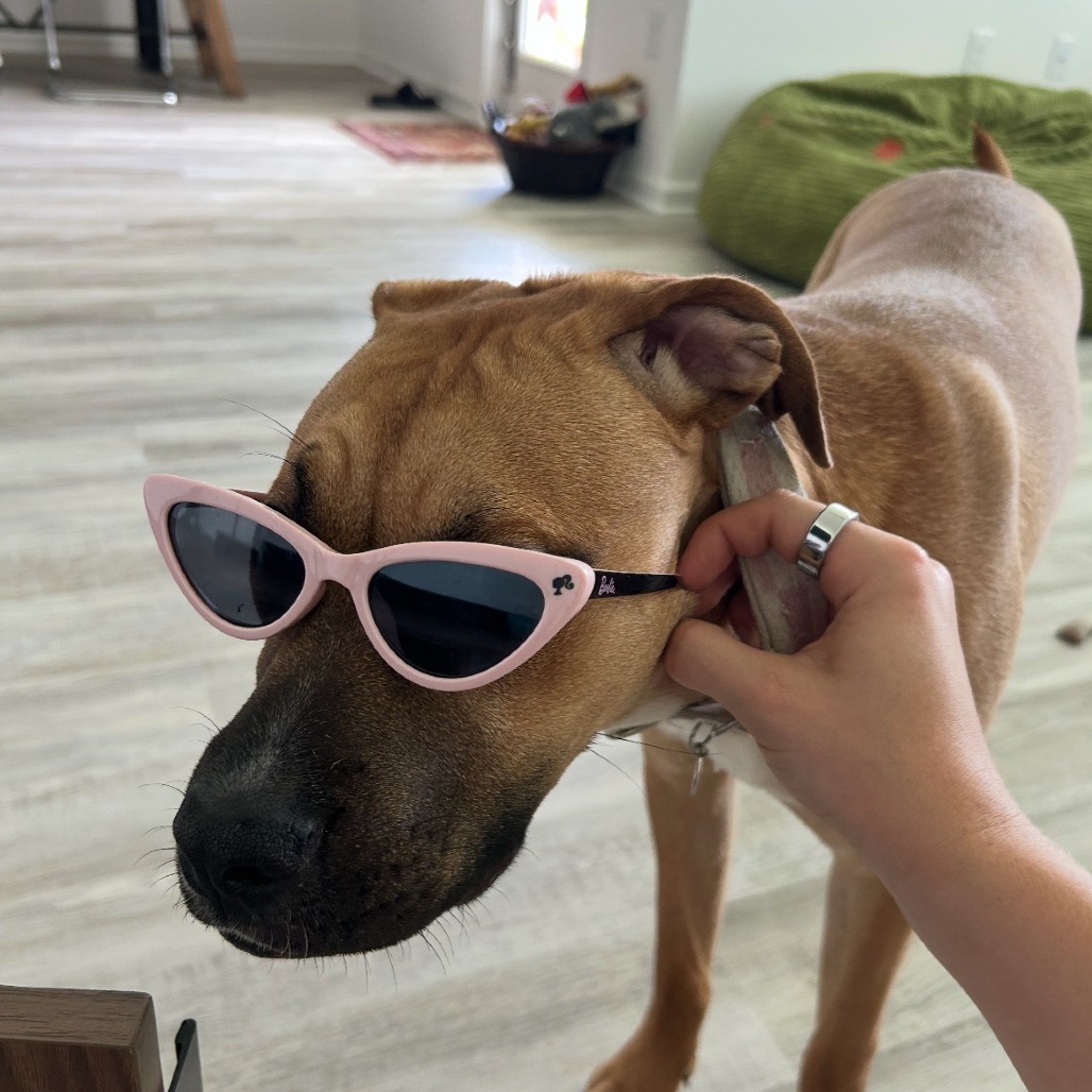 Penny