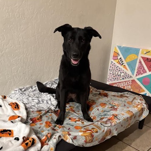 Jersey - Sweet, Energetic Girl!