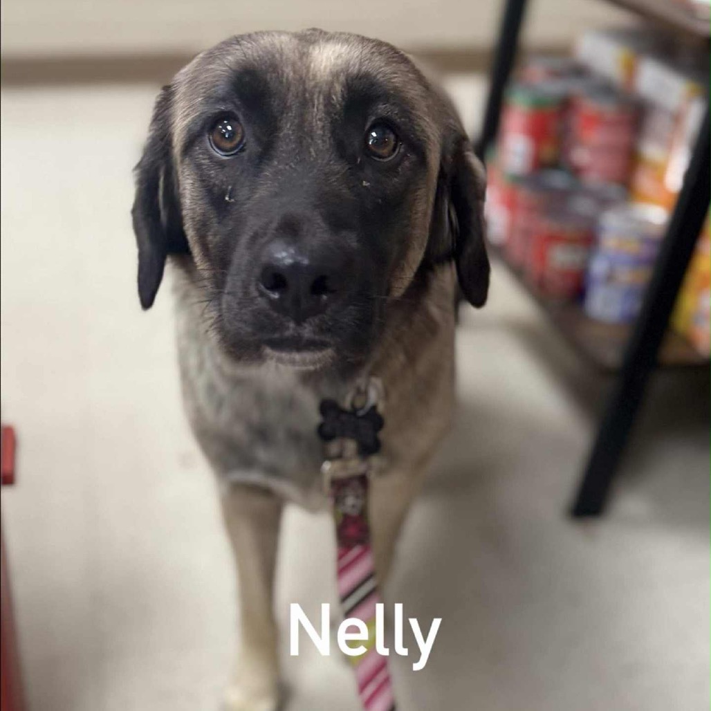 Nelly