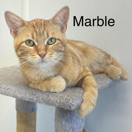 Marble