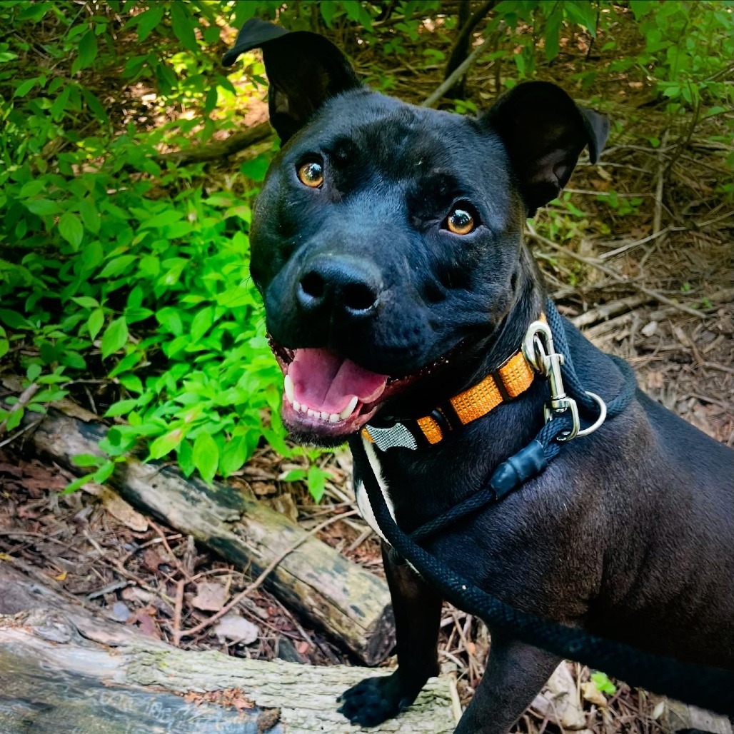 Zuko
