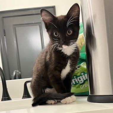 Puma Thurman