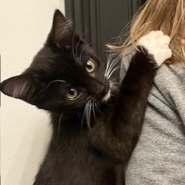 Puma Thurman thumbnail 3