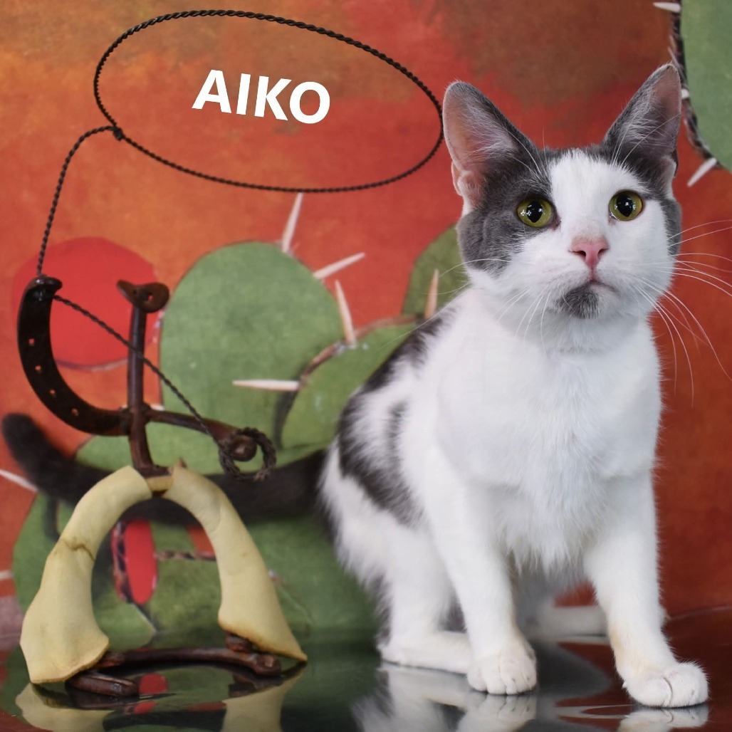 Aiko