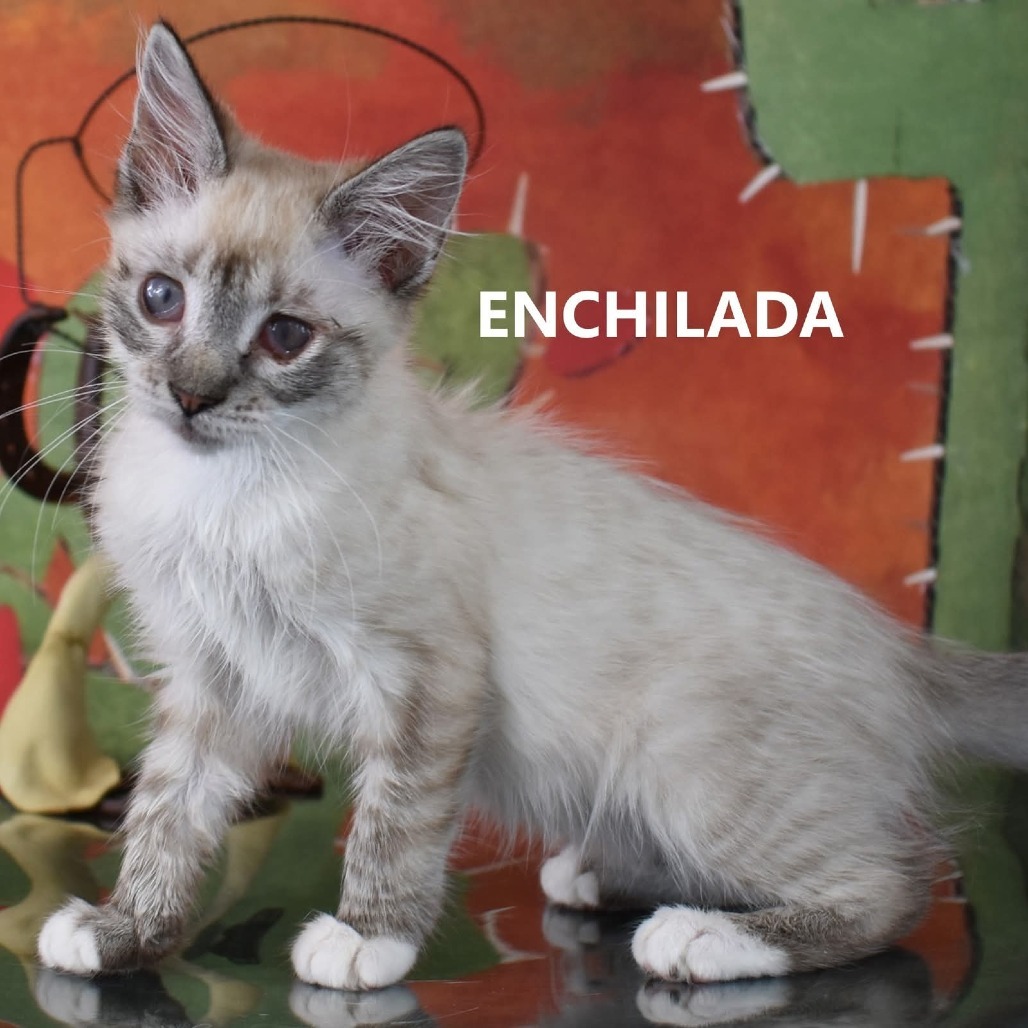 Enchilada