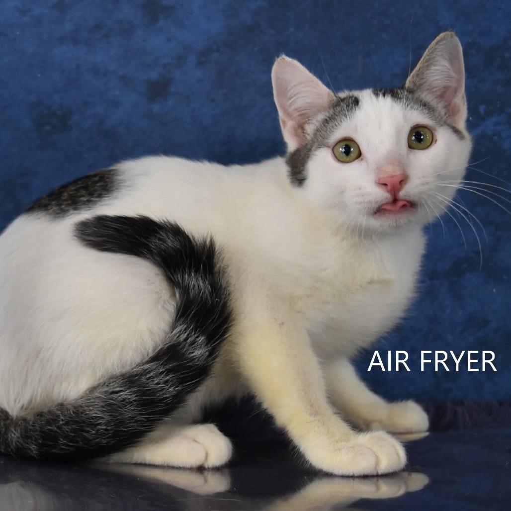 Air Fryer