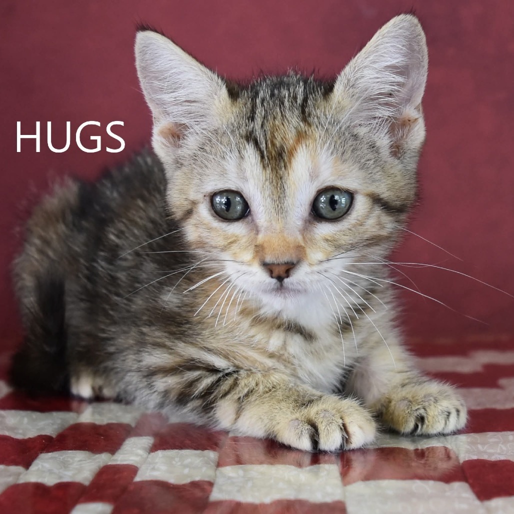 Hugs