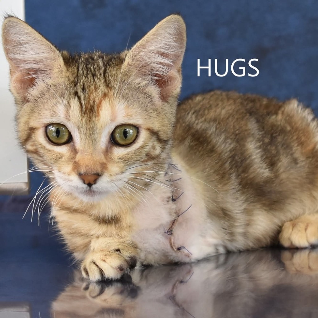 Hugs
