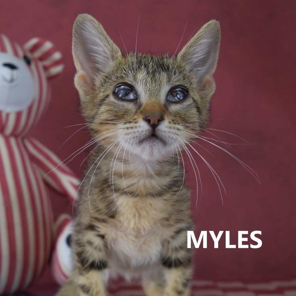Myles