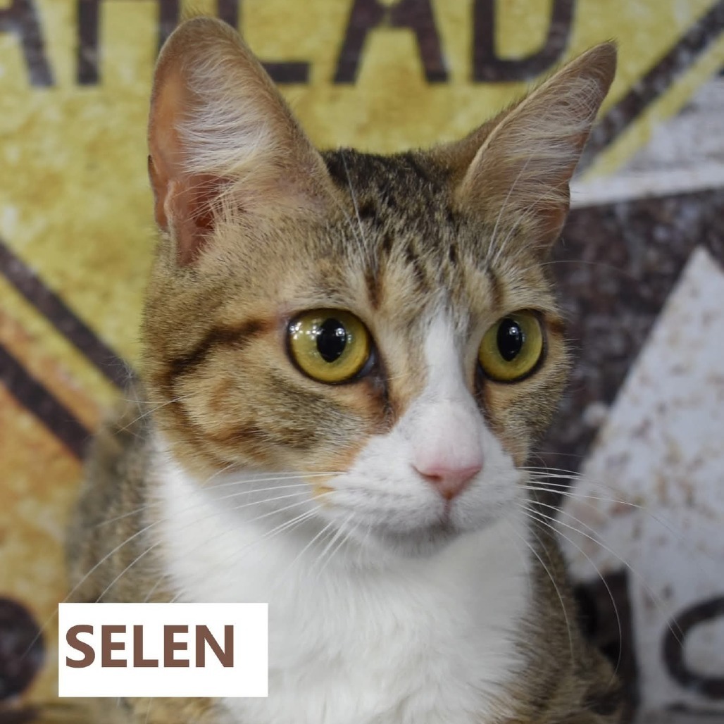 Selen